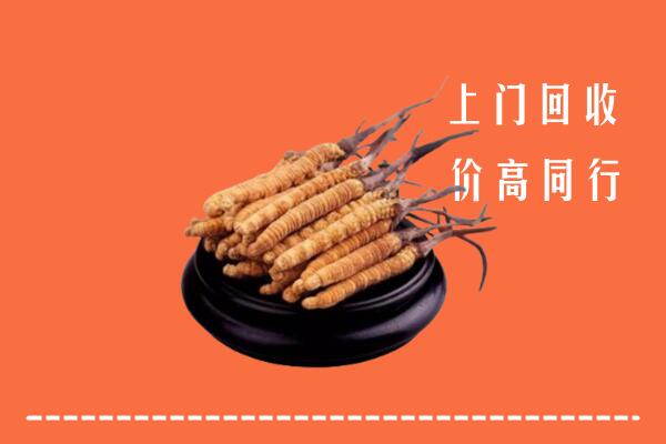 高价求购：长治长子回收散虫草