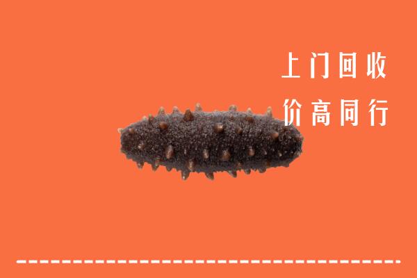 高价求购：长治长子回收海参