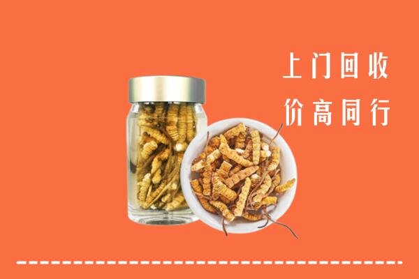 长治长子回收冬虫夏草